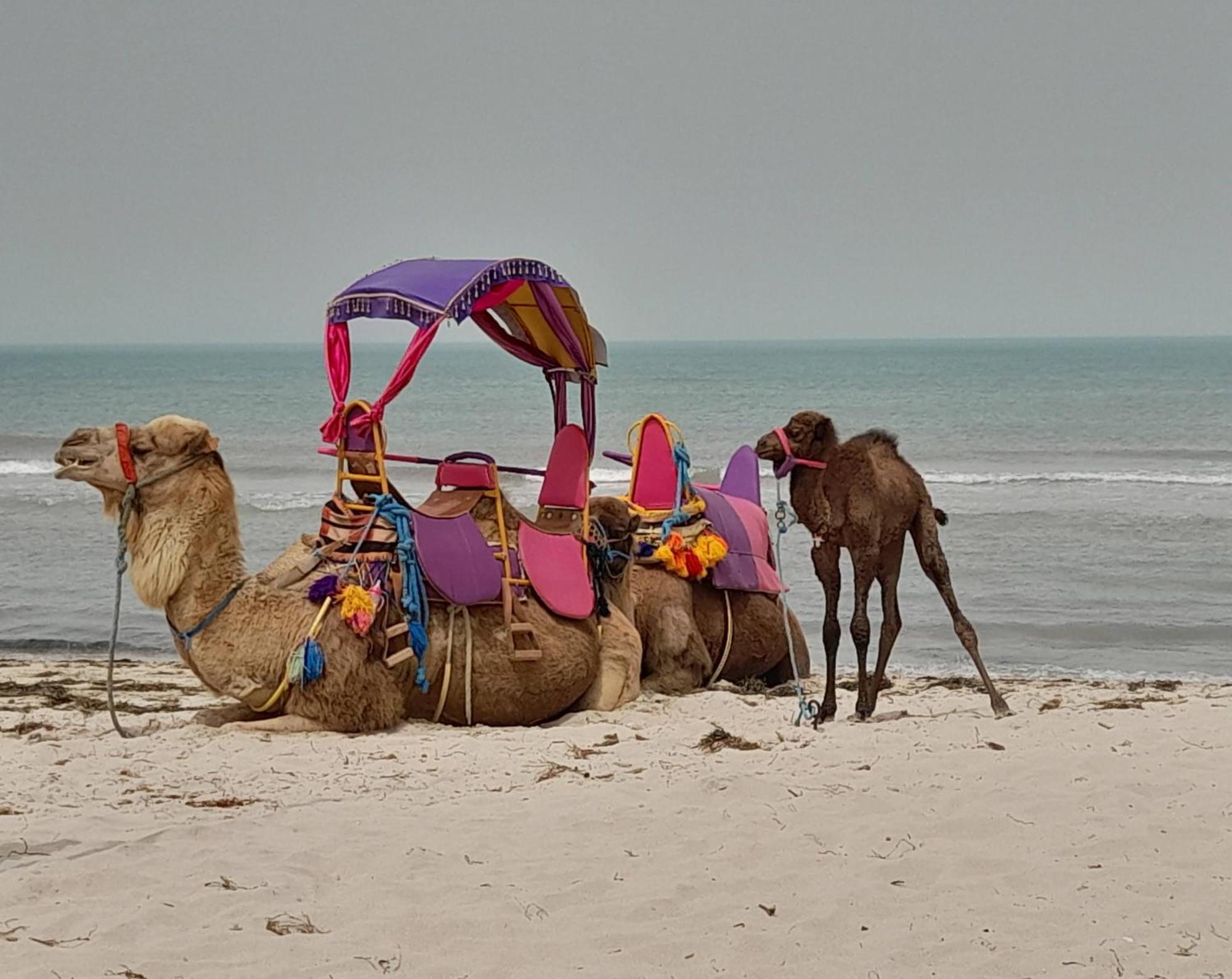 Отель Dar El Kahina Djerba Мезрая Экстерьер фото